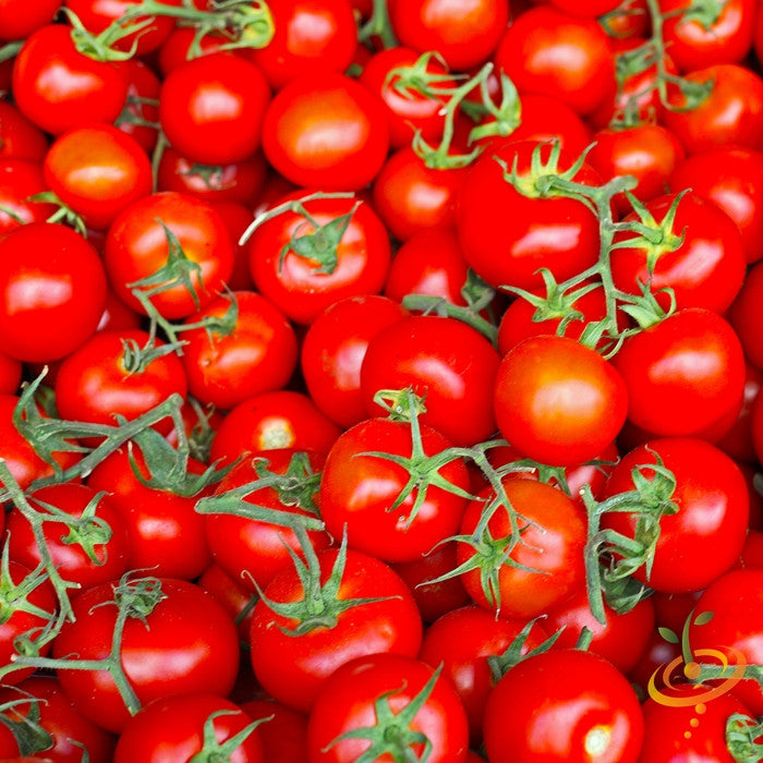 Tomato - Marglobe Supreme (Indeterminate)