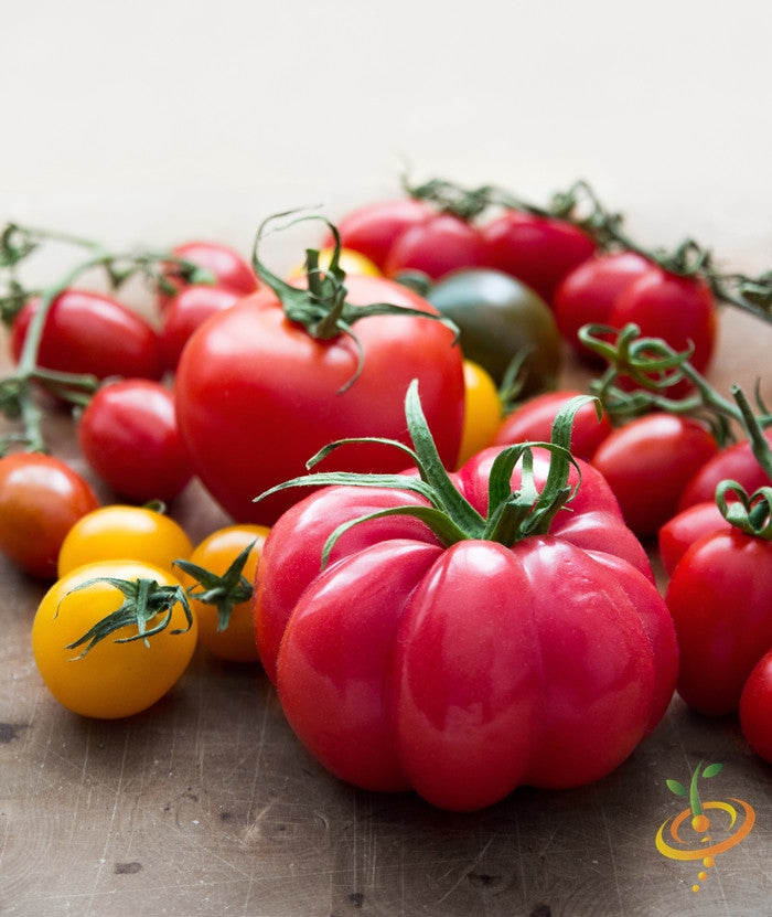 Pink Beefsteak Tomato  (100% Heirloom/Non-Hybrid/Non-GMO)