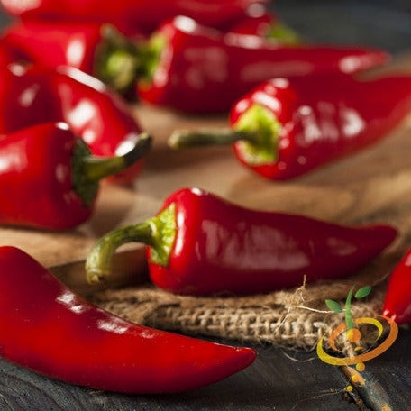 Pepper (Hot) - Fresno Chili 🔥🔥 - SeedsNow.com