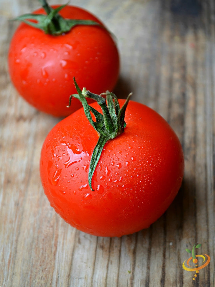 Heirloom Atkinson Tomato Seeds 100% Non-Hybrid Non-GMO