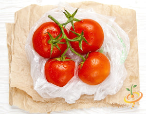 Organic Money Maker Tomato Non-GMO Seeds 