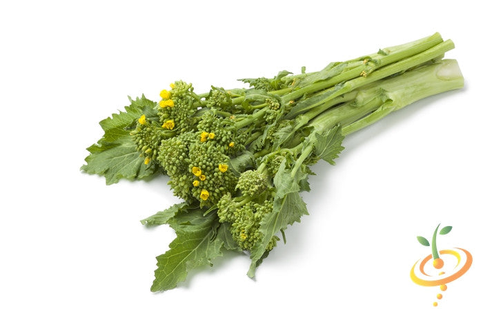Broccoli - Rapini (Raab).