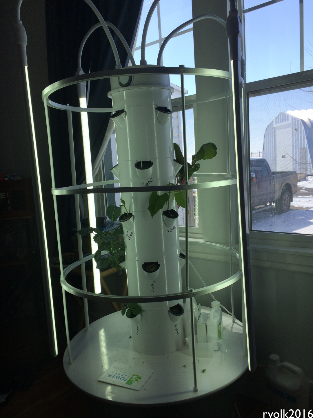 All-in-One Tower Garden Variety Pack - SeedsNow.com