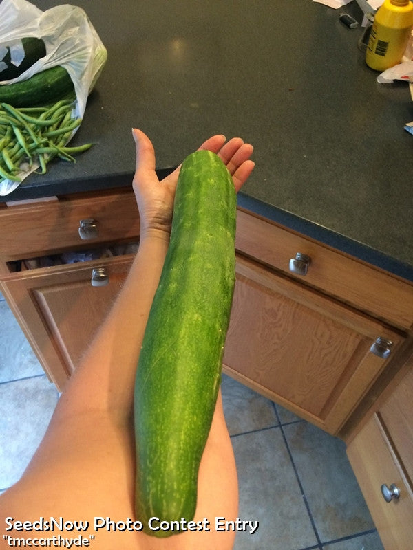 Cucumber - Marketer.